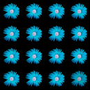 flower blue