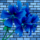 blue flower