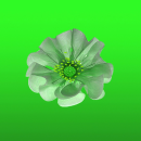 green flower