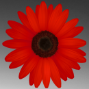 red flower