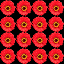 red flower