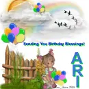 Ari -Fence - Balloons 