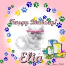 Elia - Birthday - Cat - Paint