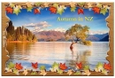 Autumn in New-Zealand