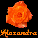 Alexandra