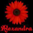 Alexandra