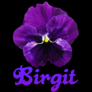 Birgit
