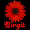 Birgit