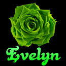Evelyn