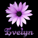 Evelyn