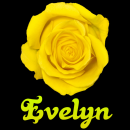 Evelyn