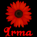 Irma