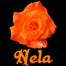 Nela