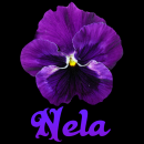 Nela