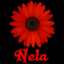 Nela