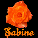 Sabine