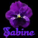 Sabine