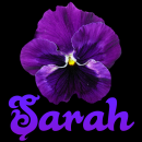 Sarah
