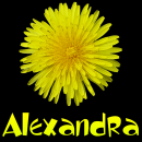 Alexandra