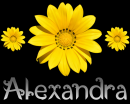 Alexandra