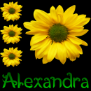 Alexandra