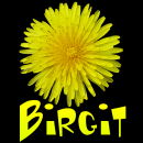 Birgit