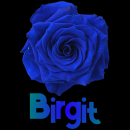 Birgit
