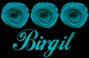 Birgit