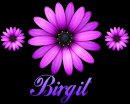 Birgit
