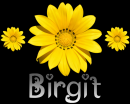 Birgit