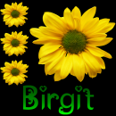 Birgit
