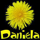 Daniela