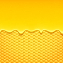 Honey Background