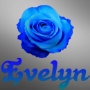 Evelyn