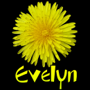 Evelyn