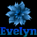 Evelyn