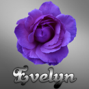 Evelyn