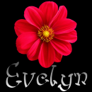 Evelyn