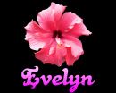 Evelyn