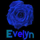 Evelyn
