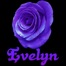 Evelyn