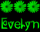 Evelyn