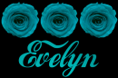 Evelyn