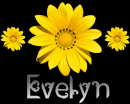 Evelyn