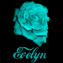 Evelyn