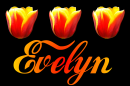 Evelyn