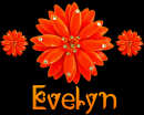 Evelyn
