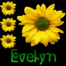 Evelyn