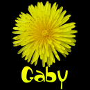 Gaby