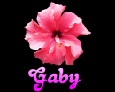Gaby